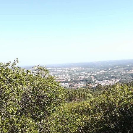 Cabeco Dos Tres Moinhos Villa Rio Maior Exteriör bild