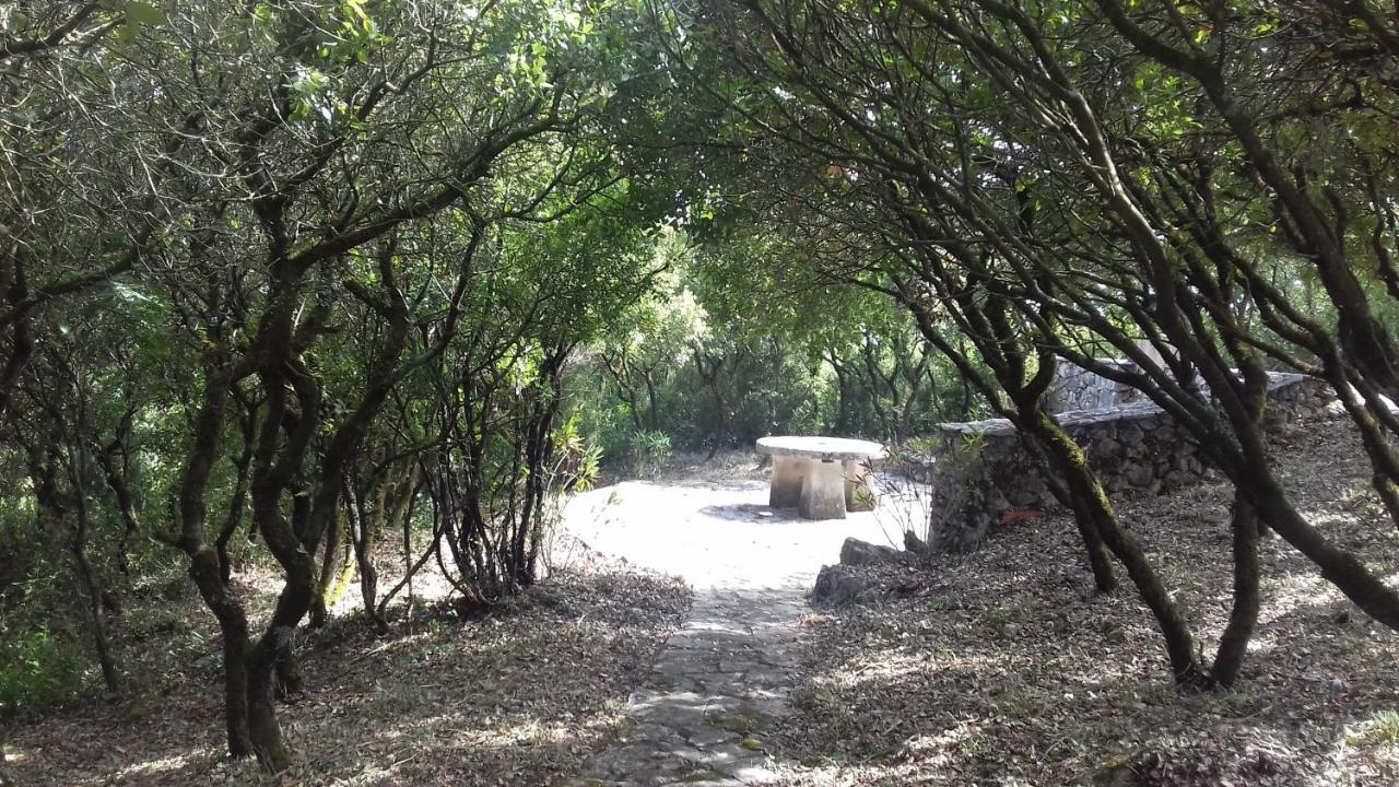 Cabeco Dos Tres Moinhos Villa Rio Maior Exteriör bild